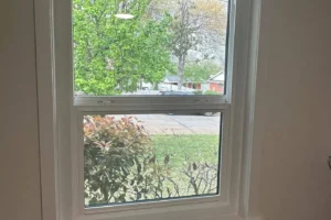 doors and windows