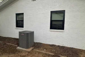 doors and windows